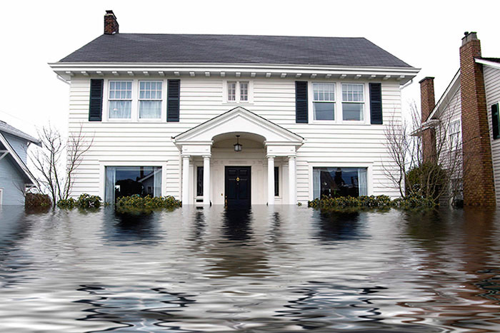 flooded carpet hero image